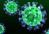 В Калуге выявлен первый случай заражения коронавирусом