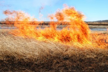 В Калужской области начался пожароопасный сезон
