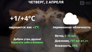 Прогноз погоды в Калуге на 2 апреля