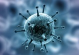 Количество подтверждённых случаев коронавируса в Калужской области резко увеличилось