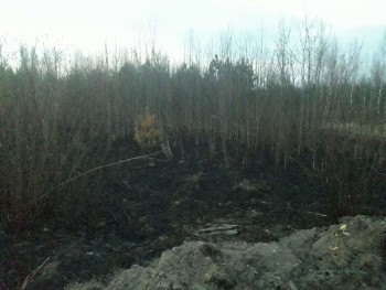 Пожар охватил 36 гектаров леса в Калужской области