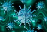 Появилась актуальная информация по ситуации с коронавирусом в Калужской области