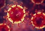 В Калужской области продолжает быстро увеличиваться число заражённых коронавирусом
