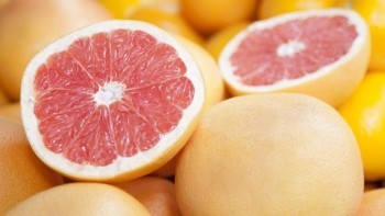 В Калужскую область ввезли зараженные грейпфруты