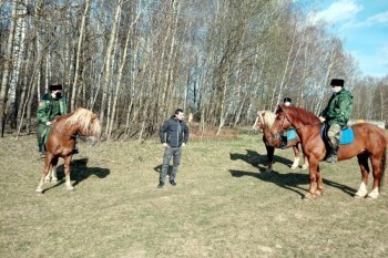 В Калуге за соблюдением самоизоляции следит конный казачий патруль