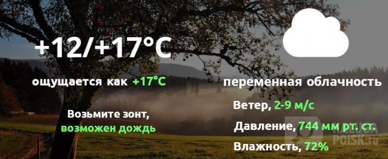 Погода август Калуга. Погода в Калуге на завтра, 16 августа. Погода в г.Калуга на 10 дней. Погода калуга февраль