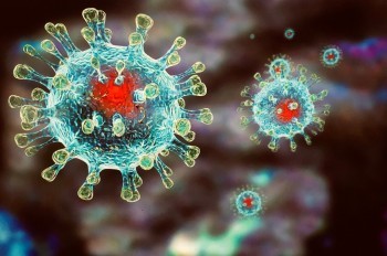 Информация о ситуации с коронавирусом в Калужской области на 25 октября