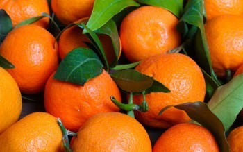 В Калужской области нашли зараженные фрукты