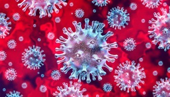Информация о ситуации с коронавирусом на 28 ноября