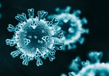 Информация о ситуации с коронавирусом в Калужской области на 29 ноября