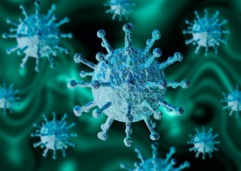 Информация о ситуации с коронавирусом в Калужской области на 12 декабря