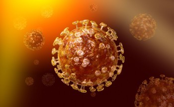Информация о ситуации с коронавирусом в Калужской области на 20 декабря