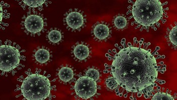 Информация о ситуации с коронавирусом в Калужской области на 6 января