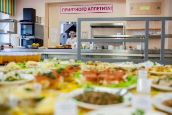Владислав Шапша отправил депутатов пробовать обеды в школьных столовых
