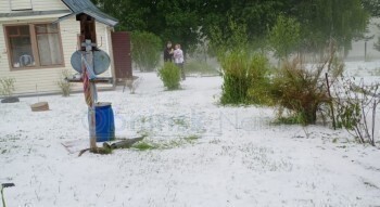 В июне как зимой: калужскую деревню накрыло белым покрывалом
