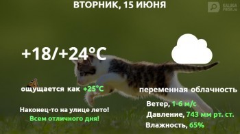 Прогноз погоды в Калуге на 15 июня