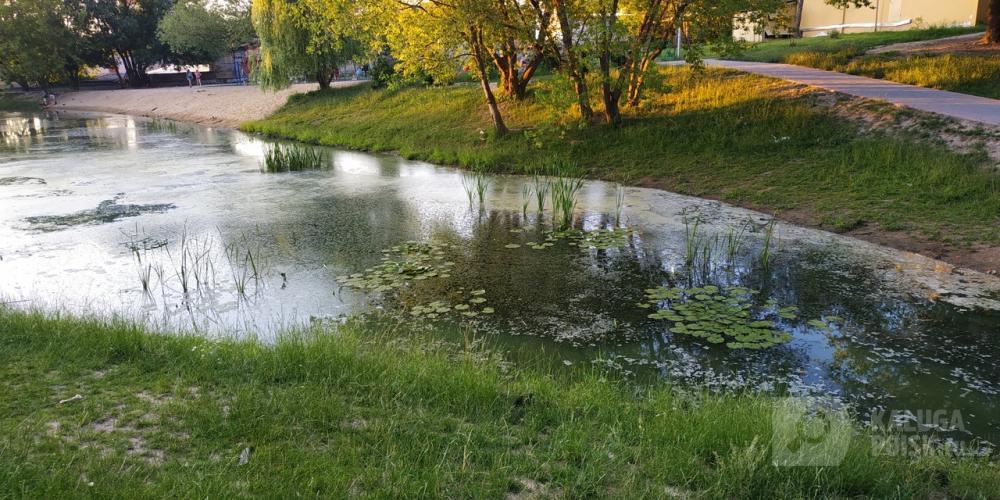 Фото подписчика Фото подписчика
