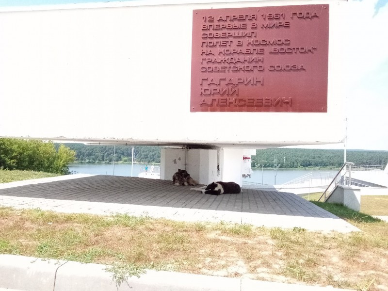 Фото подписчика Фото подписчика