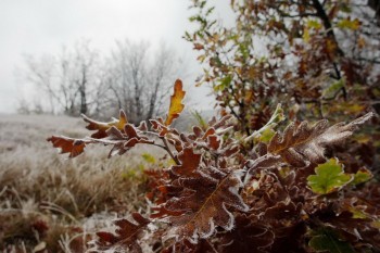 Синоптики предупреждают о первых заморозках в Калужской области