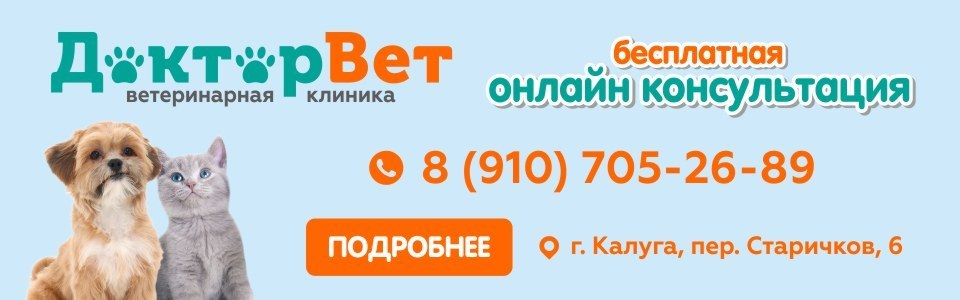 Пес Новые Серии Сентября 2022 Года Пес Новые Серии Сентября 2022 Года