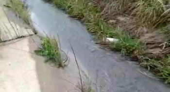 В Калуге в реку Росвянку снова сбросили химикаты (видео)