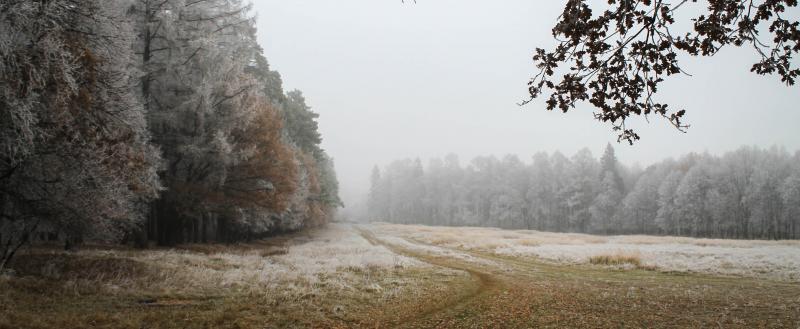 Фото: Kaluga-poisk.ru