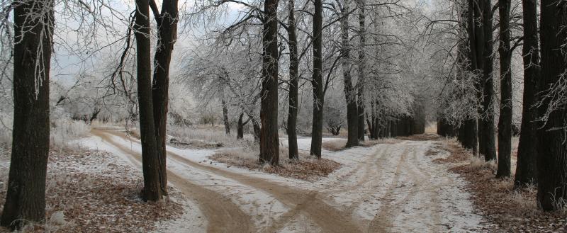 Фото Kaluga-poisk.ru