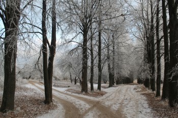 Синоптики обещают выпадение первого снега в Калуге