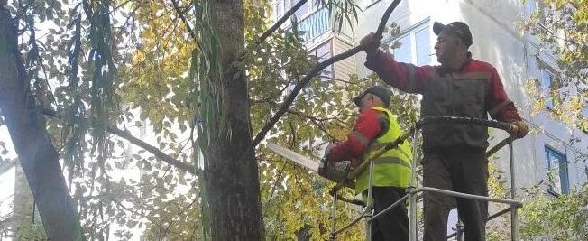 Фото МБУ Калугаблагоустройство