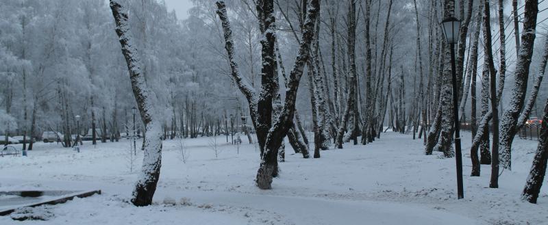 Фото Kaluga-poisk.ru