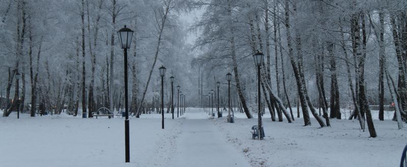 Фото Kaluga-poisk.ru