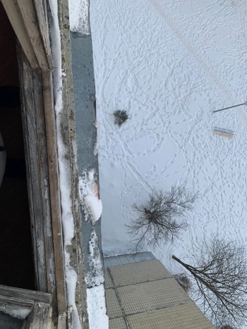 Два брата избили соседа и выбросили его с балкона