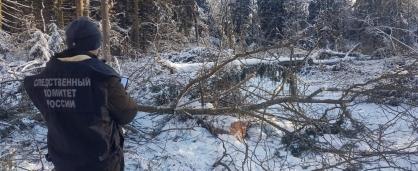 Место происшествия, фото СУ СКР по Калужской области