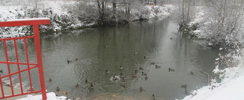 Фото Kaluga-poisk.ru