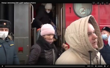 В Калугу приехал поезд с 315 беженцами из ДНР и ЛНР