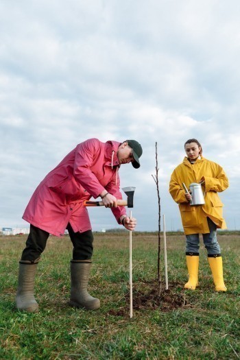 В Калужской области высадят деревья в память о жертвах Великой отечественной войны