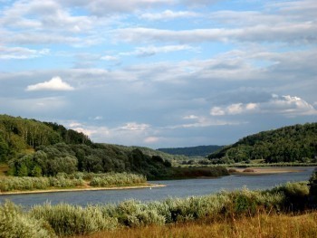 Калужская область вошла в топ-10 самых экологичных регионов страны