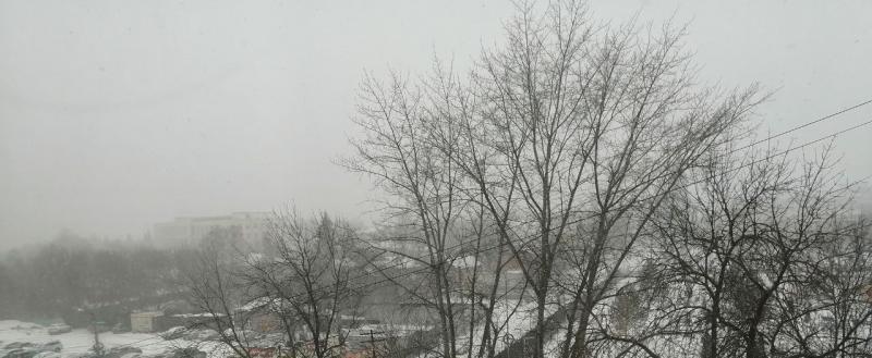 Фото: Kaluga-poisk.ru