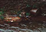 Неизвестные загрязнили ручей в микрорайоне Дубрава
