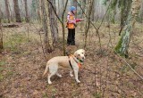 В калужском лесу собака Лана вывела поисковиков к "потеряшке"  