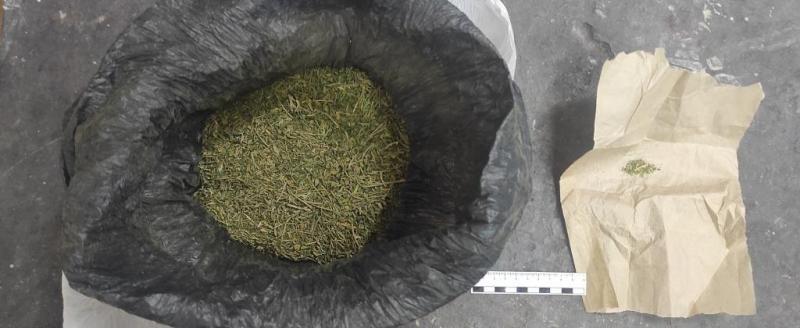 Марихуана большая партия Марихуана большая партия спорт вместо наркотиков акция