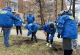 В Калуге высадили аллею памяти Жириновского 