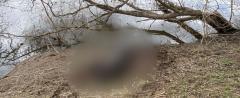 Фото: СУ СК России по Калужской области