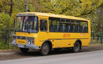 Калужские дети ходили до школьного автобуса по 3 км вдоль трассы