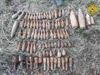 В калужском лесу нашли более сотни мин, гранат и снарядов времен ВОВ