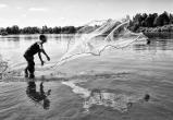 Калужскому рыбаку с сетью грозит два года колонии