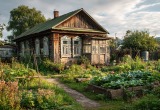 Выпросила сестра себе пару грядок на моем огороде, а теперь началось - "а полей, а посмотри, а прополи, а то я не могу"