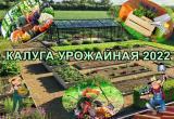 С 20 июня принимаются заявки на городской конкурс "Калуга урожайная"