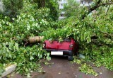 В Калуге бушевавший ураган повалил деревья и оставил районы без света, есть пострадавшие