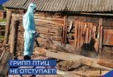 Фото Комитет ветеринарии при Правительстве Калужской